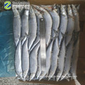 Frozen Pacific Saury  High Quality from China